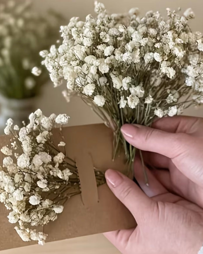 Artificial dried cream gypsophilia short stems from Starlight Express, showing a bouquet of delicate white flower stems in a natural arrangement.