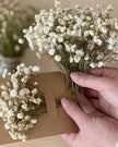 Artificial dried cream gypsophilia short stems from Starlight Express, showing a bouquet of delicate white flower stems in a natural arrangement.