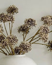 Decorative dried flowers in a white vase against a light background