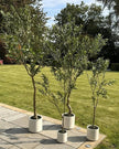 Artificial Potted Olive Tree - Small - Apulia