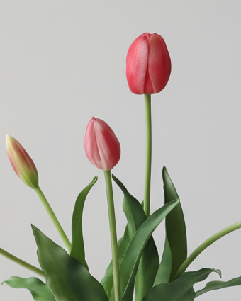 Deep Pink Tulip Stems - Bunch of 5 Artificial Spring Flowers