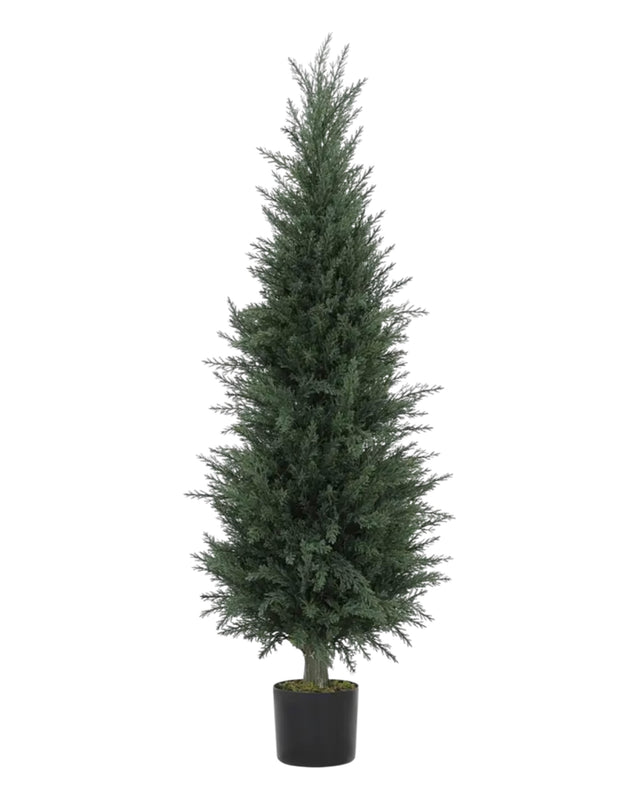 Artificial Luxury Green Spruce Norfolk Potted Trees - Set of Two