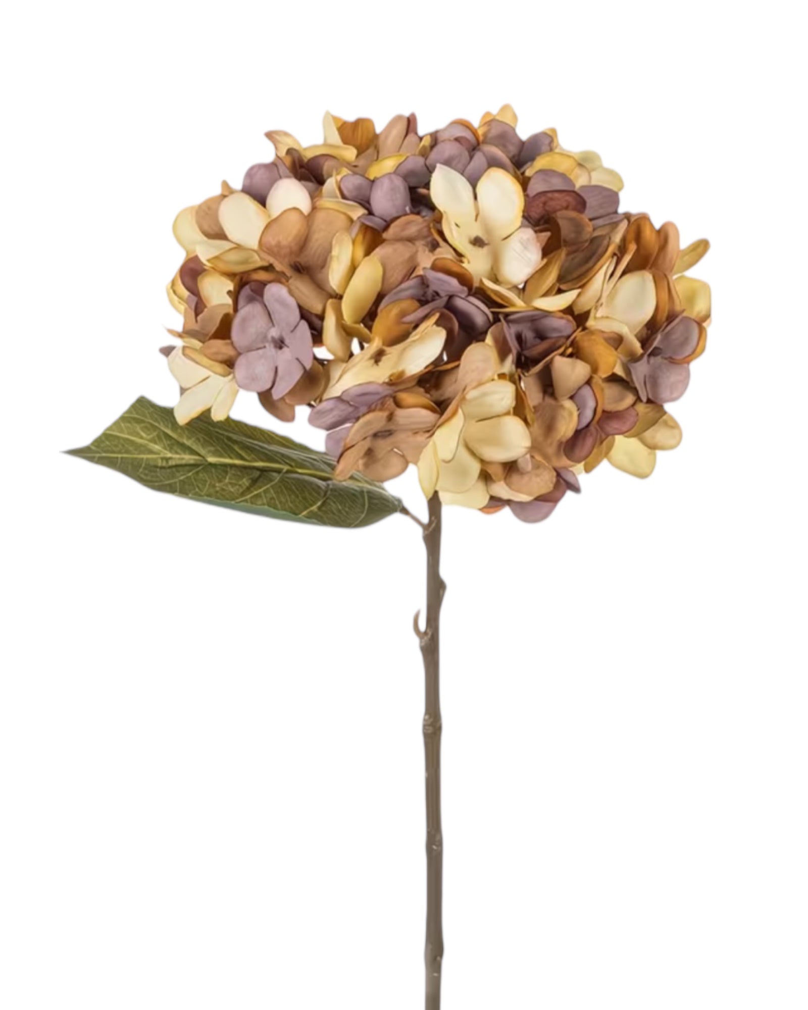 Artificial short dusky apricot hydrangea stem by Starlight Express, showcasing vibrant, realistic flowers on a green stem.