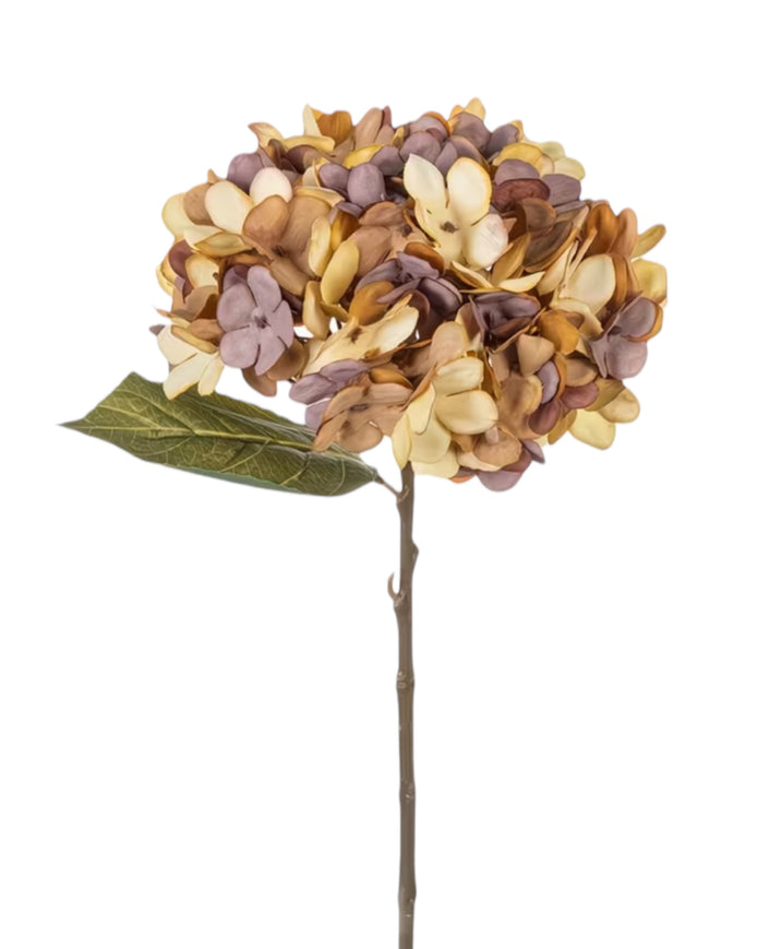 Artificial short dusky apricot hydrangea stem by Starlight Express, showcasing vibrant, realistic flowers on a green stem.