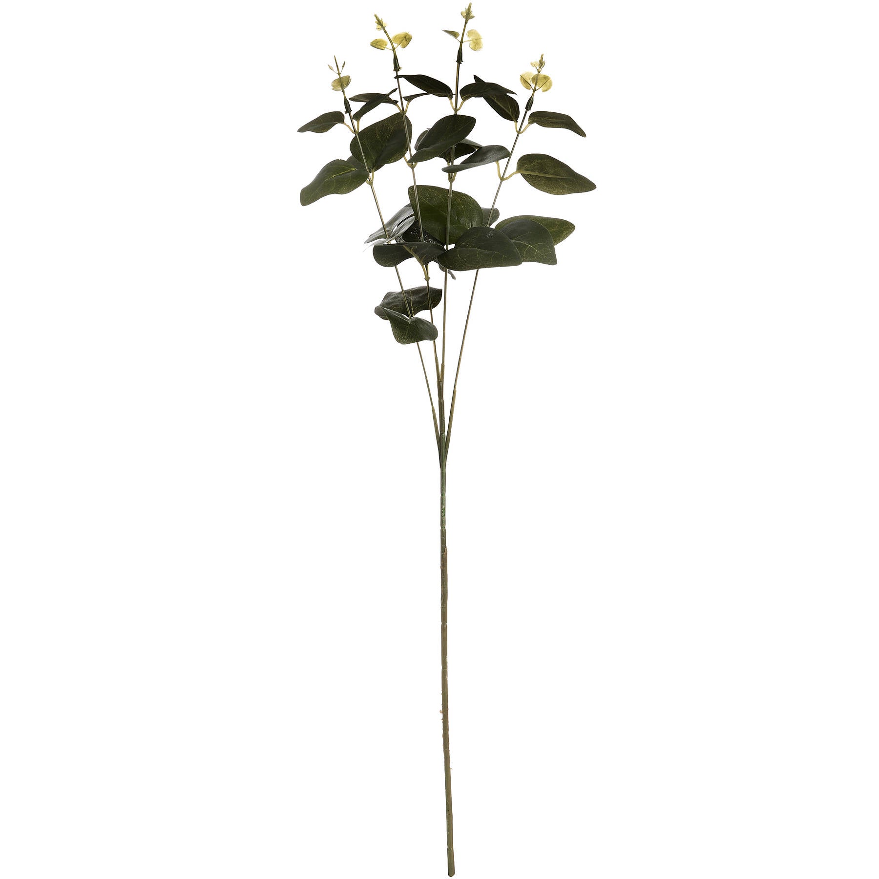 Artificial variegated foliage leaf stem from Hill Interiors, realistic plastic plant with green and white variegated leaves.
