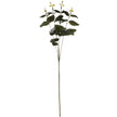 Artificial variegated foliage leaf stem from Hill Interiors, realistic plastic plant with green and white variegated leaves.