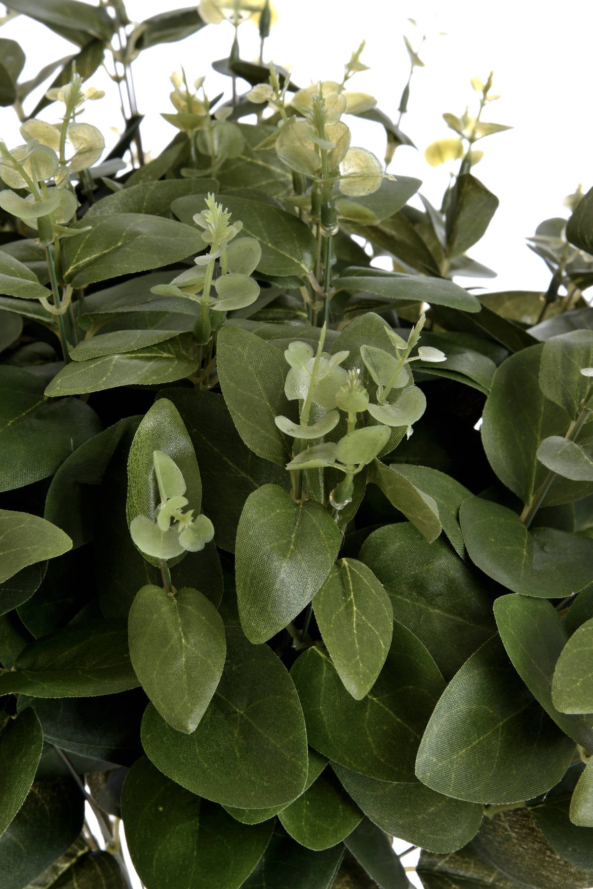 Artificial variegated foliage leaf stem from Hill Interiors, showcasing realistic green and cream-colored plant leaves.