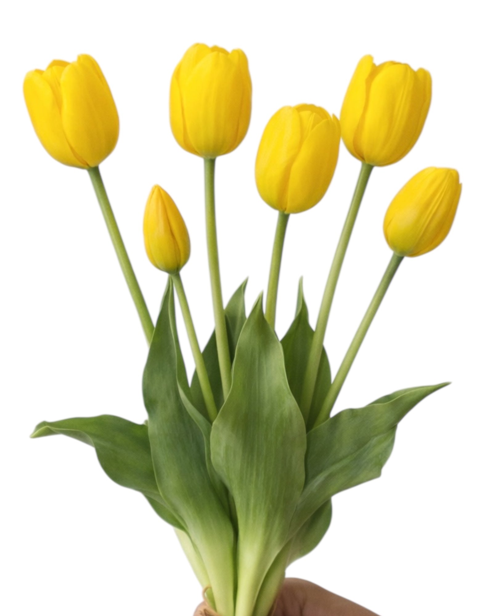 Bunch of 5 yellow artificial tulip stems from Starlight Express, spring flowers with vibrant yellow petals and green leaves