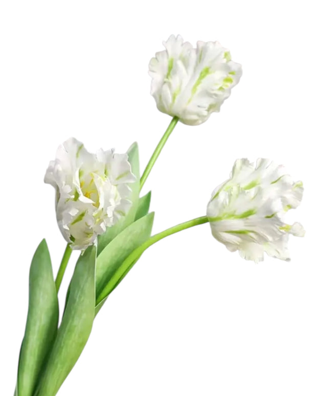 Bunch of 5 tall white artificial parrot tulip stems from Starlight Express, ideal for spring floral decor.