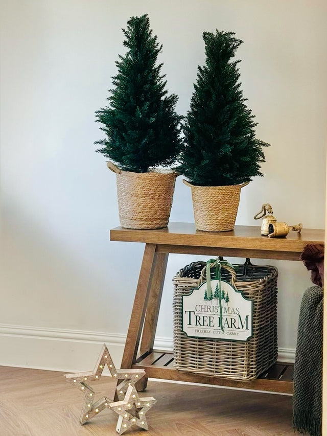 Artificial Luxury Green Spruce Norfolk Potted Trees - Set of Two