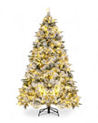 Luxury Christmas Tree - Prelit Frosted Norfolk Pine