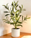 Small potted artificial olive tree from Starlight Express in a decorative planter, perfect for home or office decor.