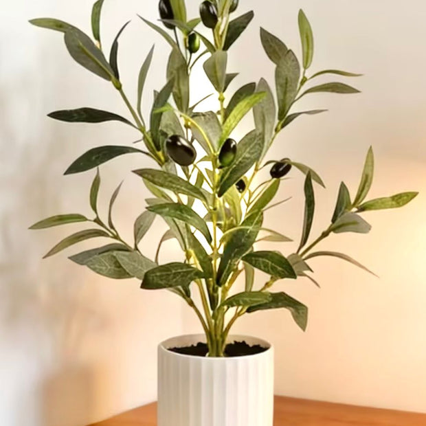 Small potted artificial olive tree from Starlight Express in a decorative planter, perfect for home or office decor.