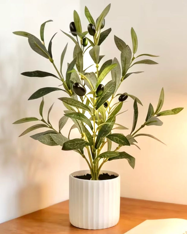 Small potted artificial olive tree from Starlight Express in a decorative planter, perfect for home or office decor.