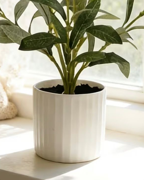 Small potted artificial olive tree from Starlight Express, featuring realistic green leaves in a decorative pot.