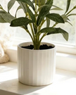 Small potted artificial olive tree from Starlight Express, featuring realistic green leaves in a decorative pot.