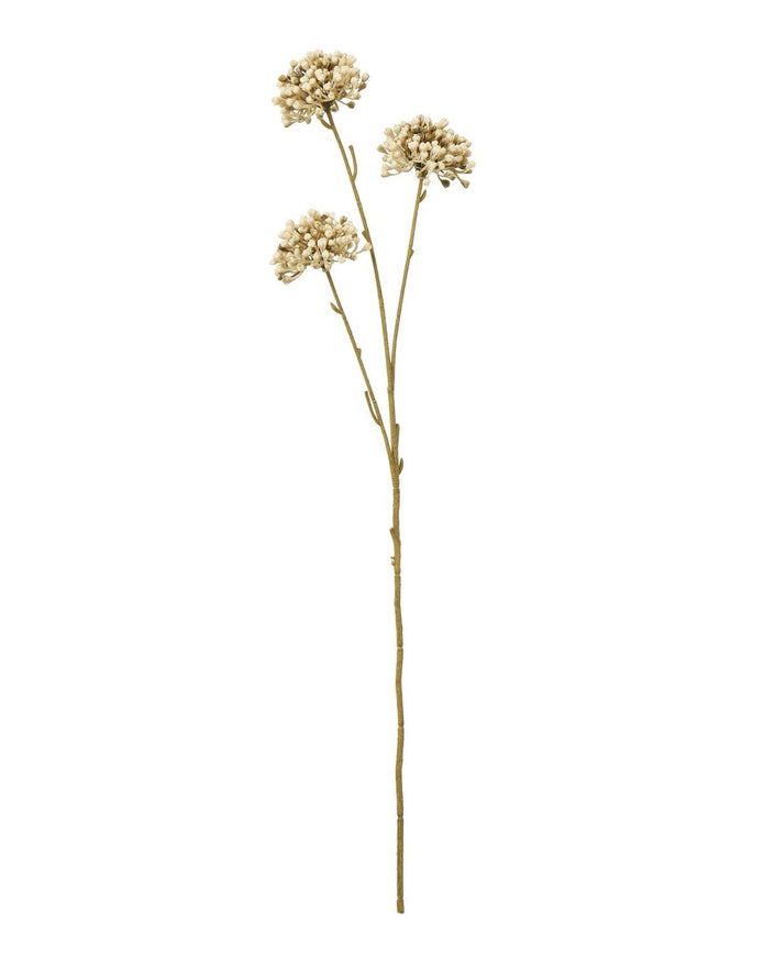 Artificial Classic Brown Allium stem from Hill Interiors, showcasing realistic brown flower blooms on a tall stem.