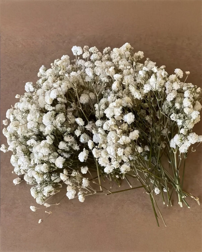 Artificial dried cream gypsophila short stems from Starlight Express, arranged in a pack of 50 for floral decoration and craft projects.