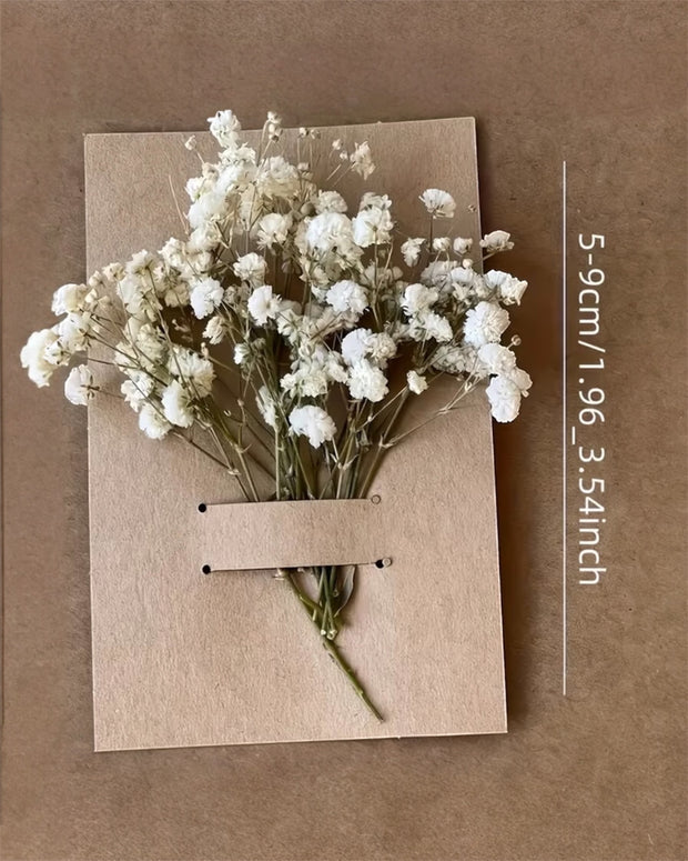 Dried cream Gypsophila short stems, artificial plant pack of 50 by Starlight Express, with delicate white blooms and green stems.
