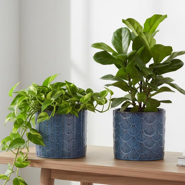 Blue patterned feather print ceramic planter pot, small size, ideal for home décor, by Heaven Sends.