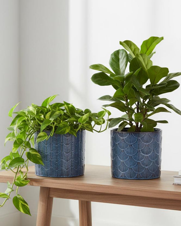 Blue patterned feather print ceramic planter pot, small size, ideal for home décor, by Heaven Sends.