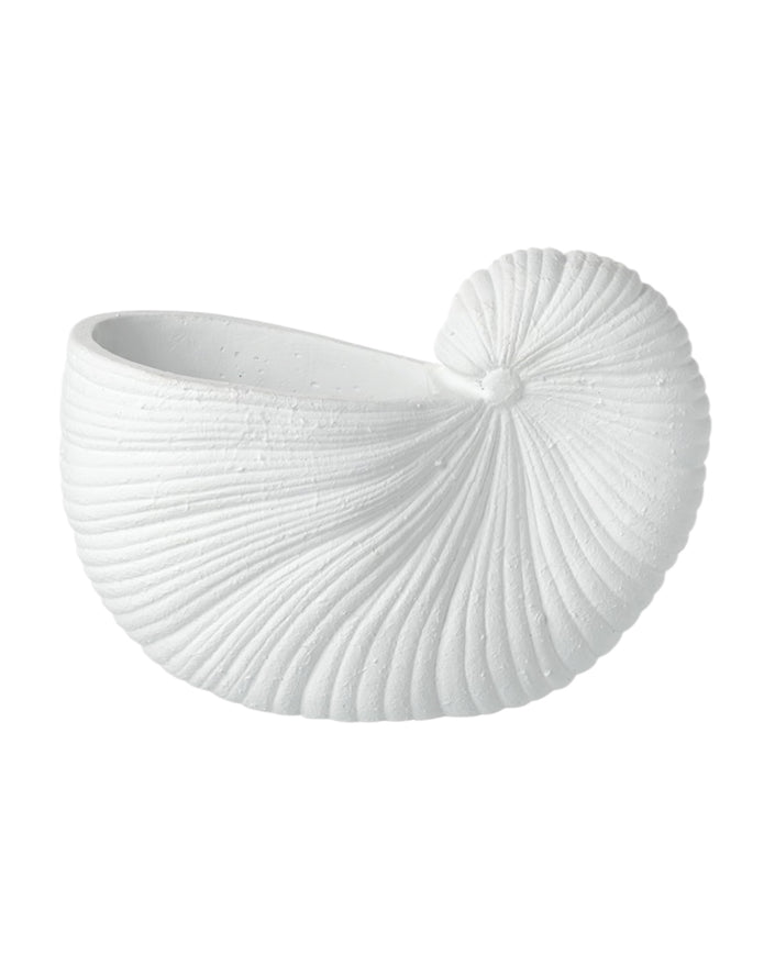 Large white matte shell vase from Heaven Sends, showcasing its smooth, curved ceramic design perfect for floral arrangements.