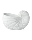 Large white matte shell vase from Heaven Sends, showcasing its smooth, curved ceramic design perfect for floral arrangements.