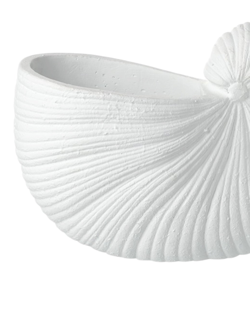 Large white matte shell vase from Heaven Sends, showcasing its elegant shell-inspired design and smooth surface.
