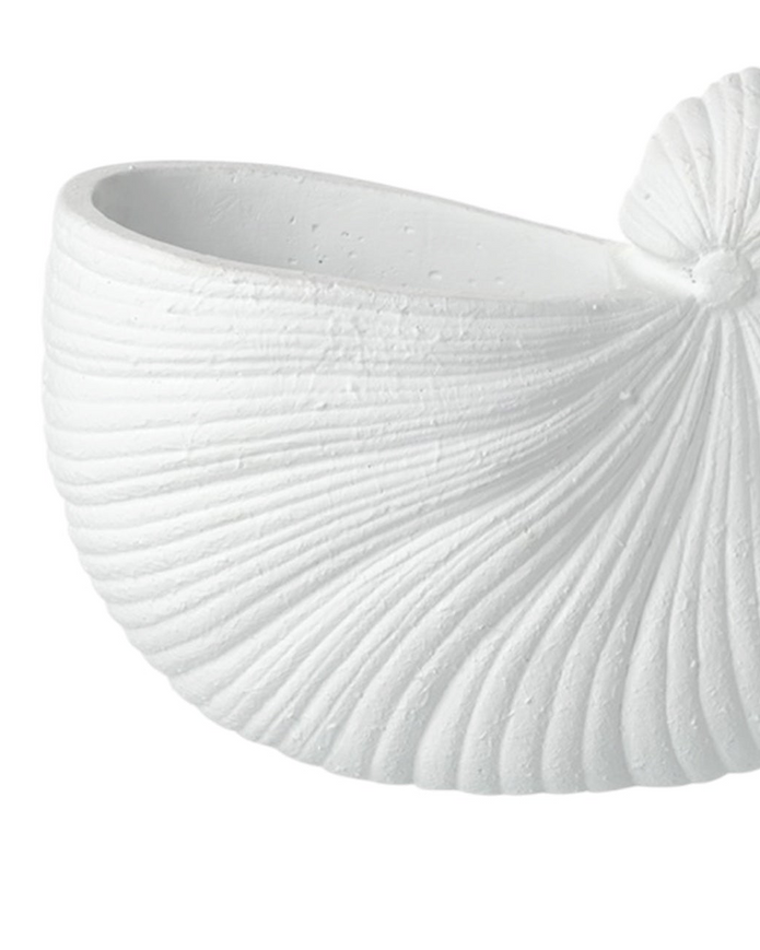 Large white matte shell vase from Heaven Sends, showcasing its elegant shell-inspired design and smooth surface.