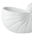 Large white matte shell vase from Heaven Sends, showcasing its elegant shell-inspired design and smooth surface.
