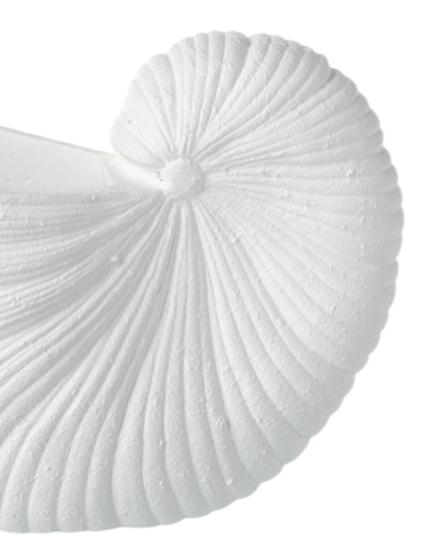 Large white matte shell vase by Heaven Sends, showcasing its smooth, elegant design and shell-inspired shape in a close-up image.