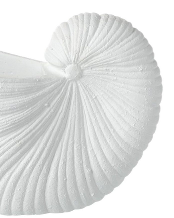 Large white matte shell vase by Heaven Sends, showcasing its smooth, elegant design and shell-inspired shape in a close-up image.