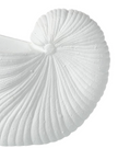 Large white matte shell vase by Heaven Sends, showcasing its smooth, elegant design and shell-inspired shape in a close-up image.