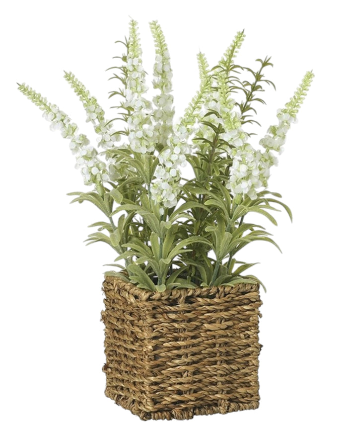 Artificial white lavender plant in a rattan pot, decorative artificial plant by Heaven Sends for home or office decor.