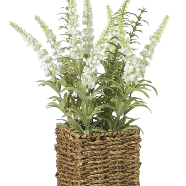 Artificial white lavender plant in a rattan pot, decorative artificial plant by Heaven Sends for home or office decor.