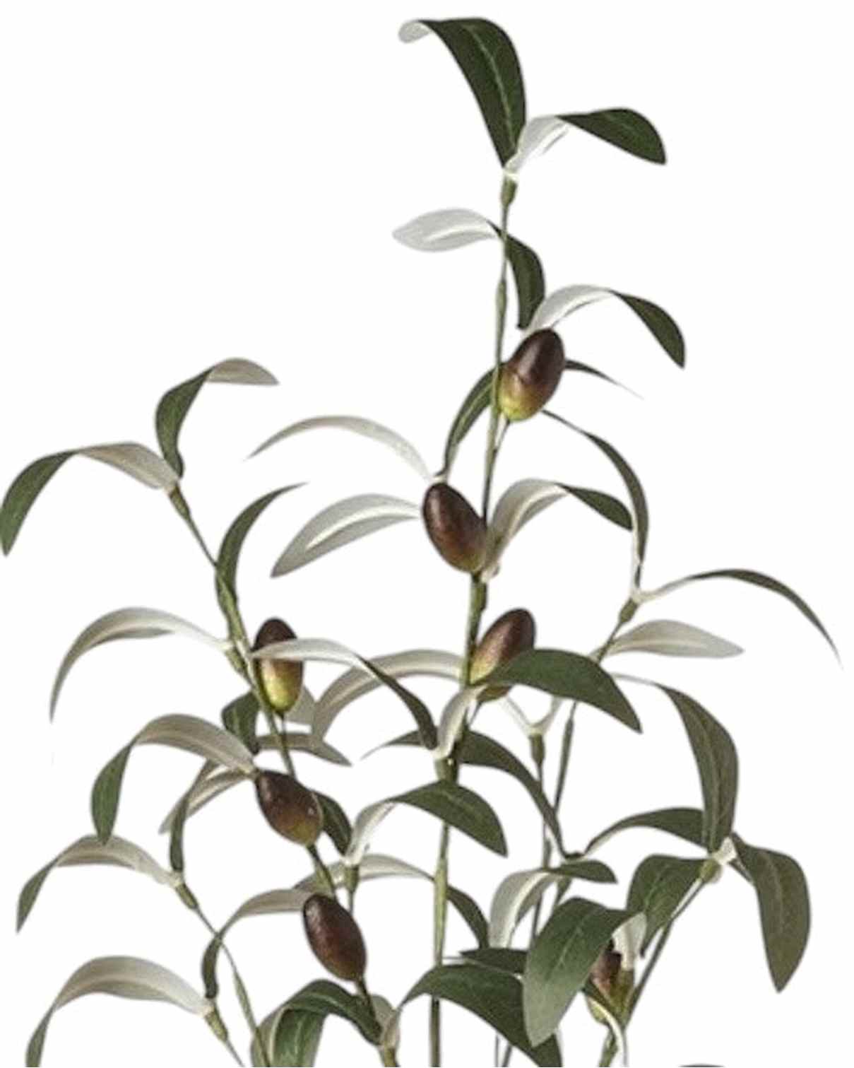 Artificial tall olive branch for home décor by Heaven Sends, featuring realistic green leaves and a slender woody stem.