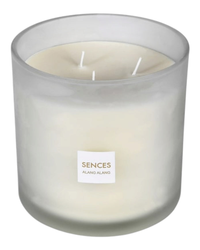 White Alang Alang large 3-wick candle by Coach House with tonka and clove scent, shown in a clean, elegant glass container.