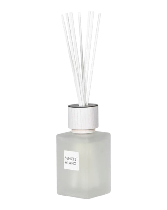 White Alang Alang small reed diffuser by Coach House, 120ml, showcasing a sleek glass bottle with reed sticks for home fragrance.