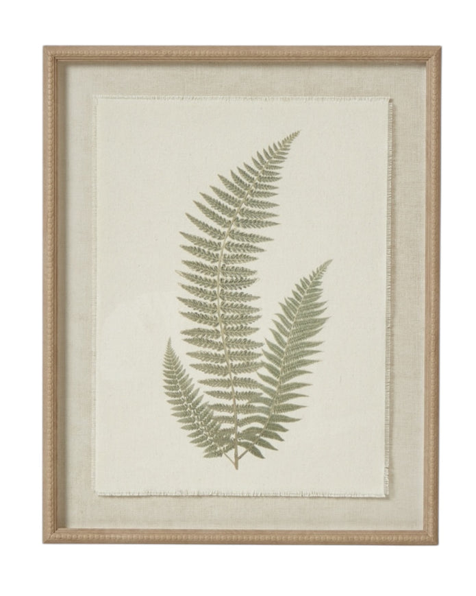 Wooden Framed Vintage Wall Art Print - Green Ferns