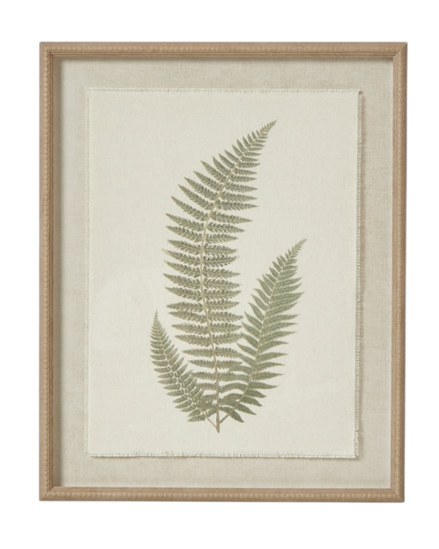 Wooden Framed Vintage Wall Art Print - Green Ferns