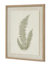 Wooden Framed Vintage Wall Art Print - Green Ferns
