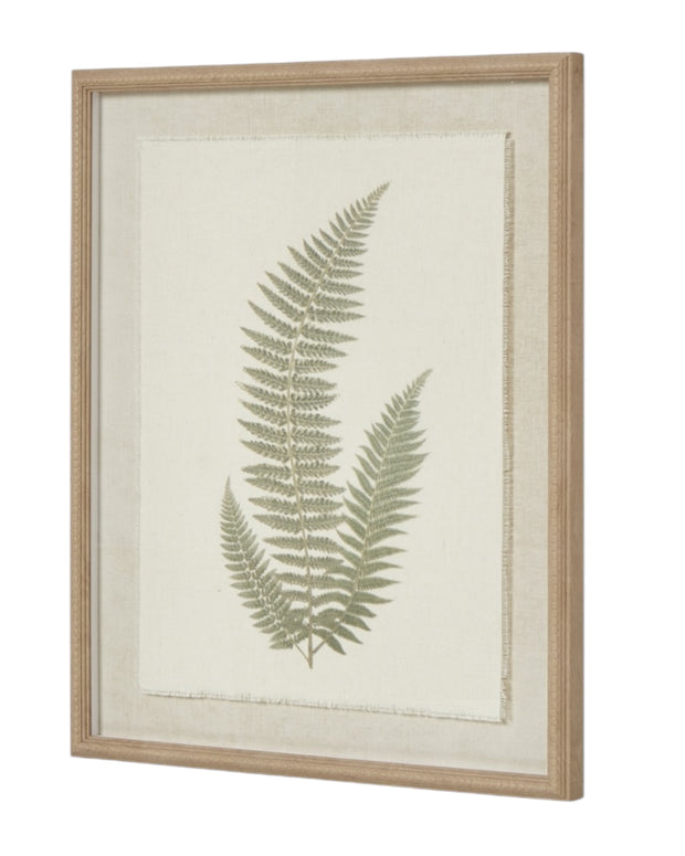 Wooden Framed Vintage Wall Art Print - Green Ferns