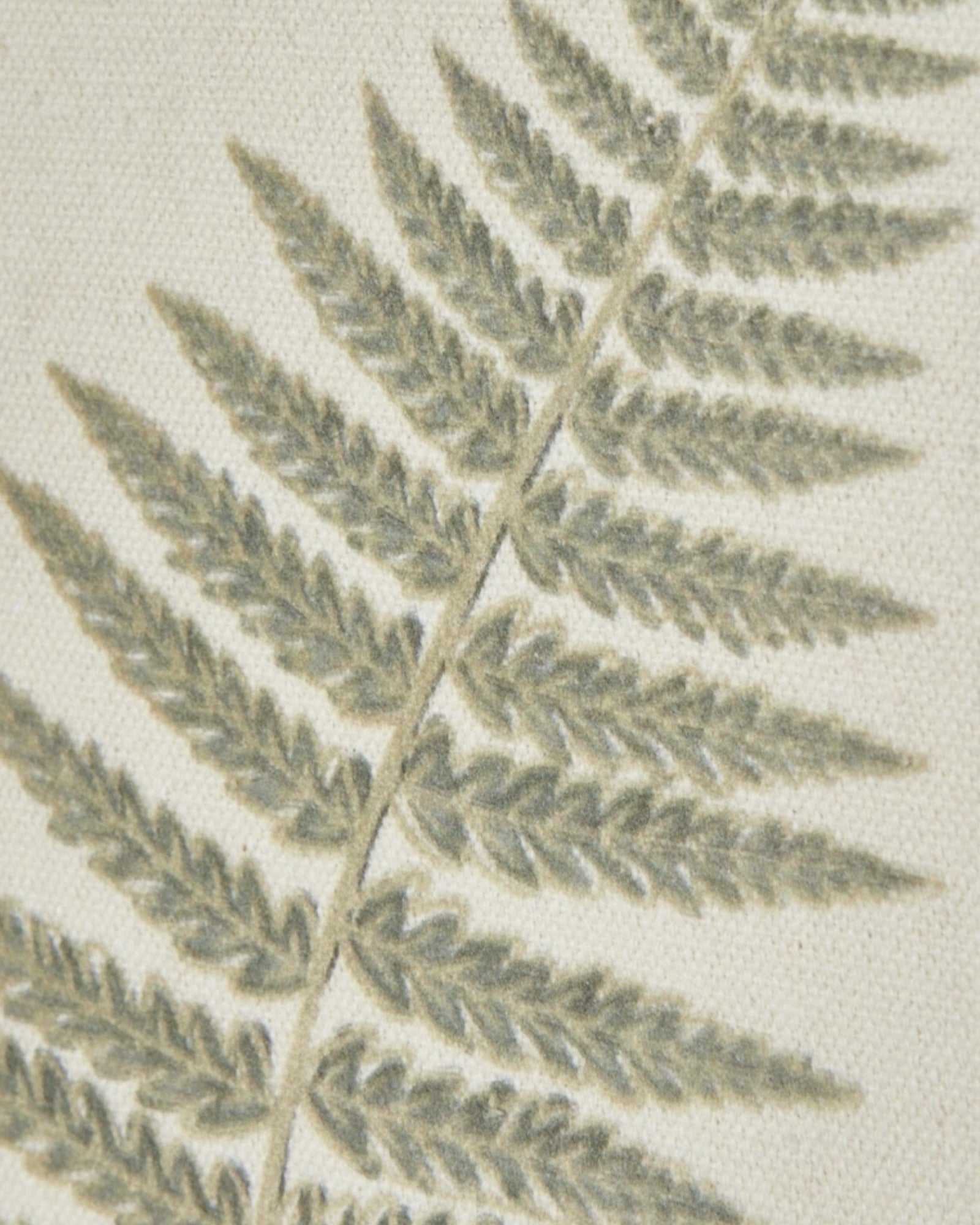 Wooden Framed Vintage Wall Art Print - Green Ferns