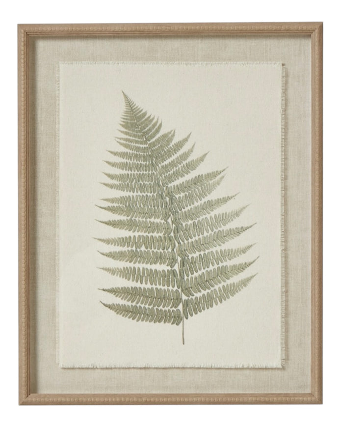 Wooden Framed Vintage Wall Art Print - Green Ferns