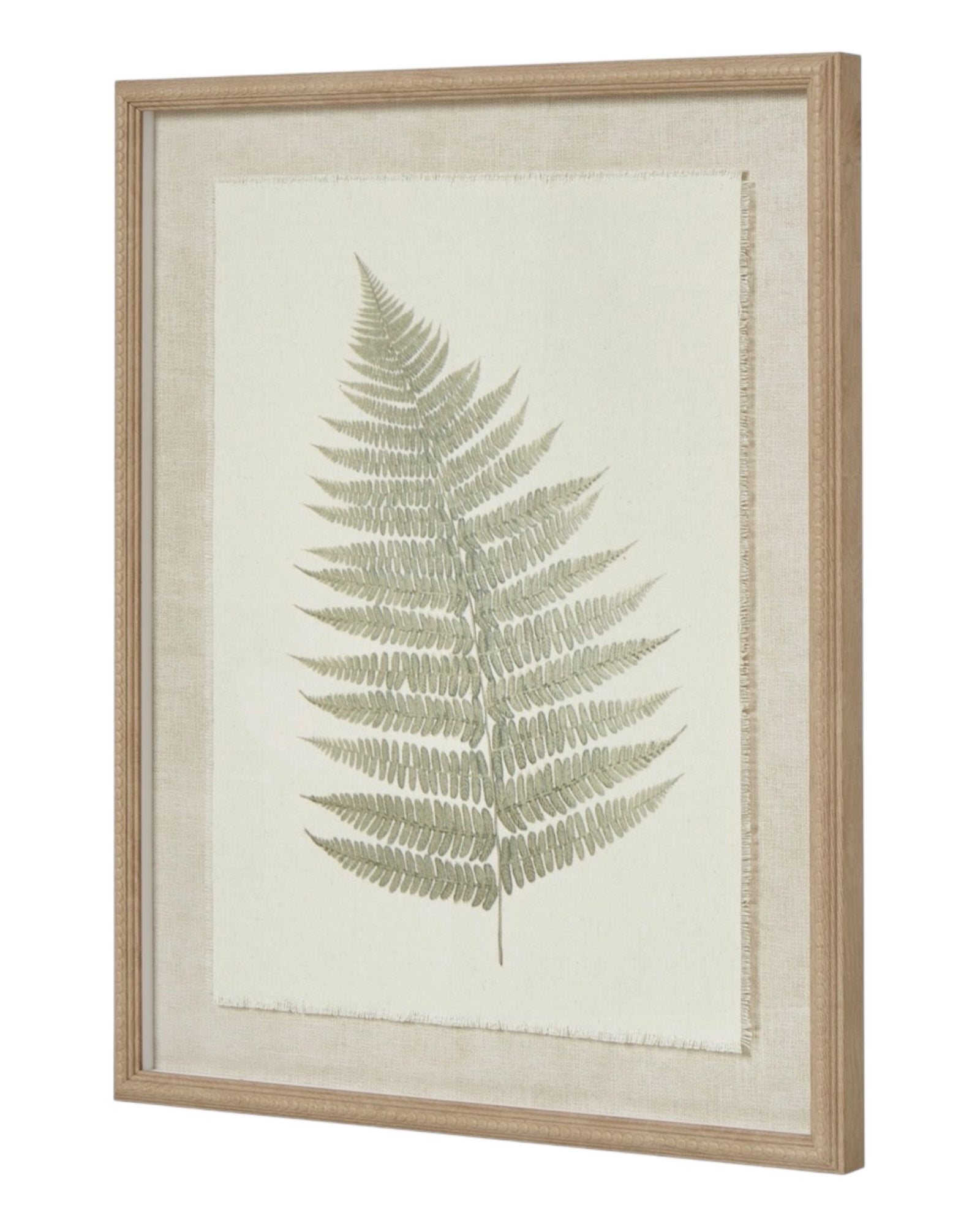 Wooden Framed Vintage Wall Art Print - Green Ferns