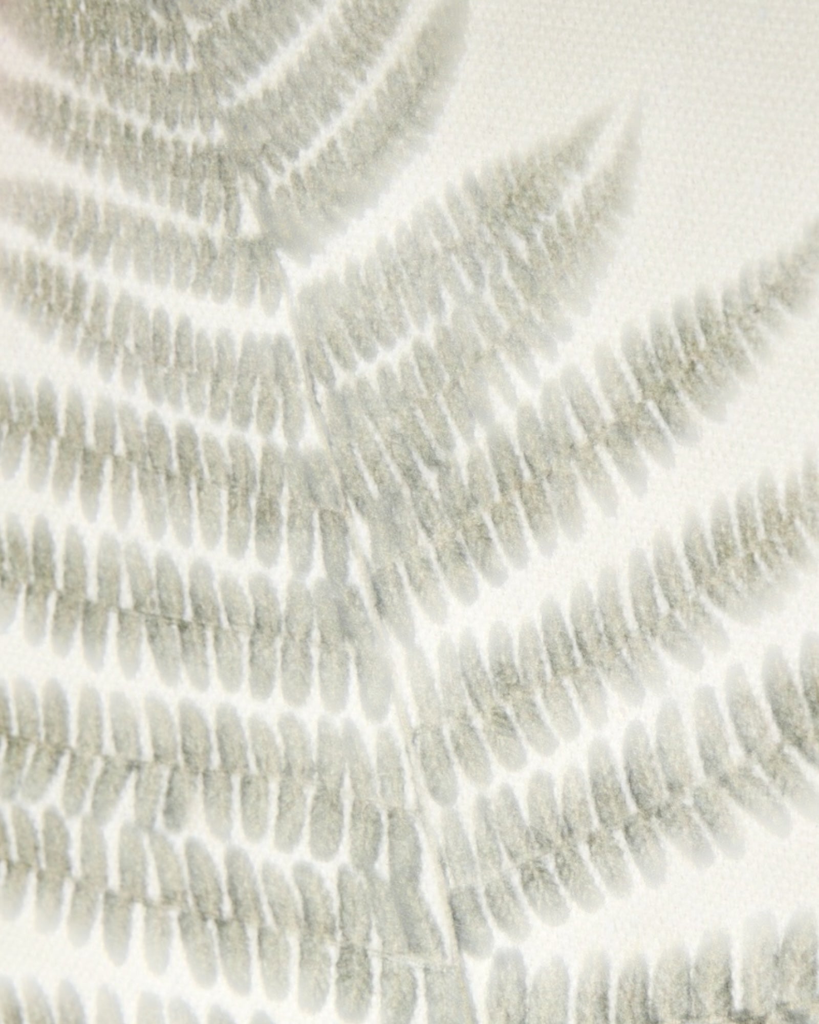 Wooden Framed Vintage Wall Art Print - Green Ferns