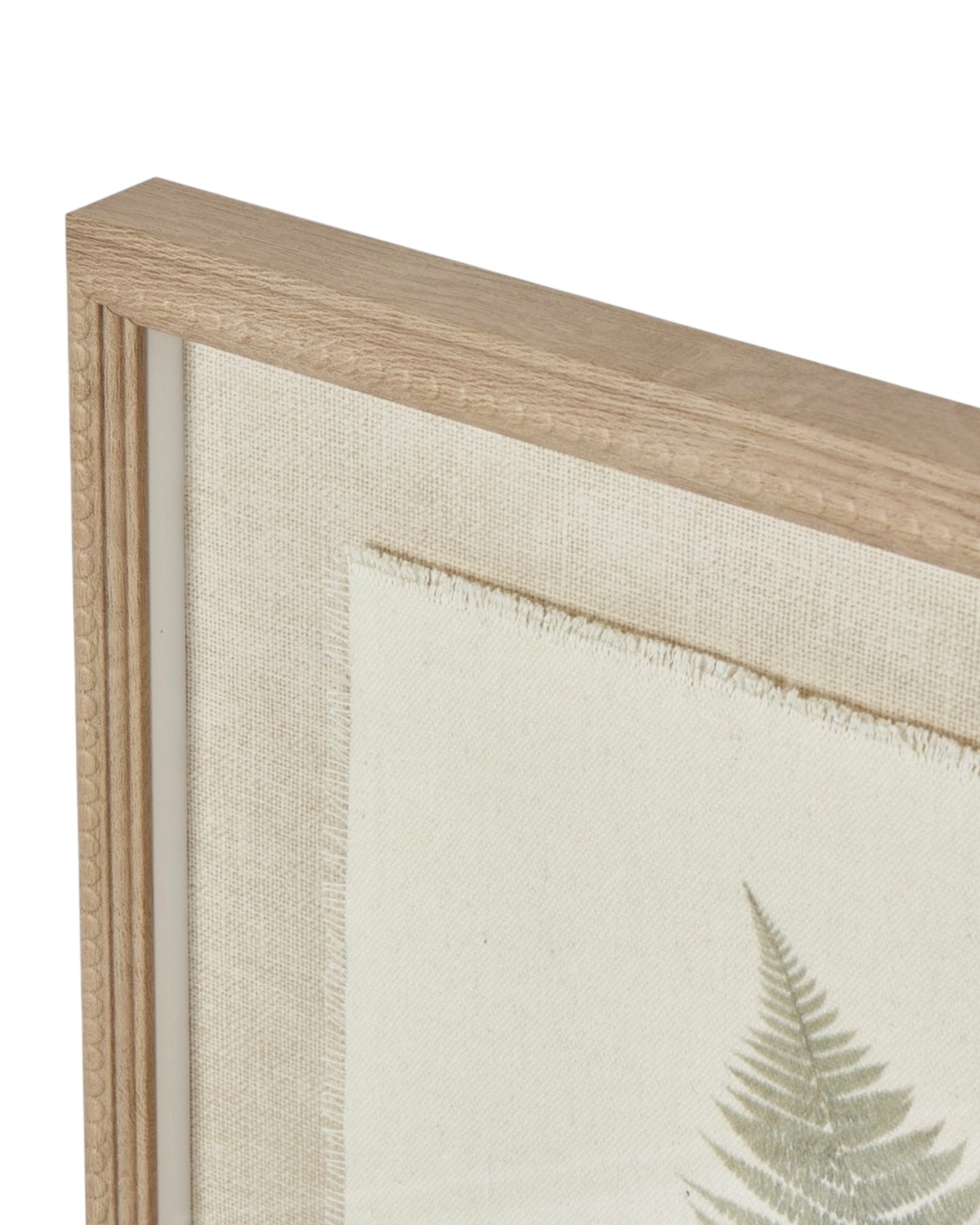 Wooden Framed Vintage Wall Art Print - Green Ferns