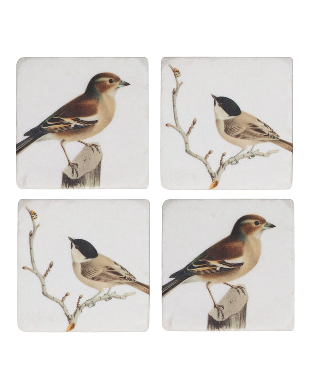 Bird Resin Coaster - Set of Four