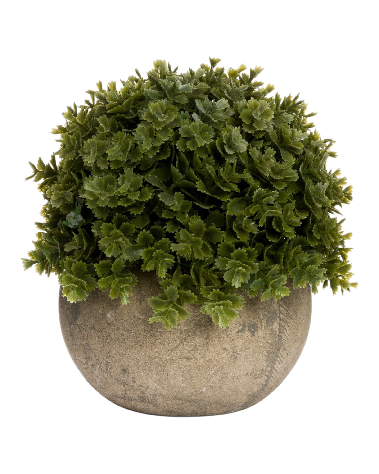 Artificial potted small dark green Hebe plant from Hill Interiors, showcasing realistic foliage in a decorative pot.