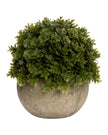Artificial potted small dark green Hebe plant from Hill Interiors, showcasing realistic foliage in a decorative pot.